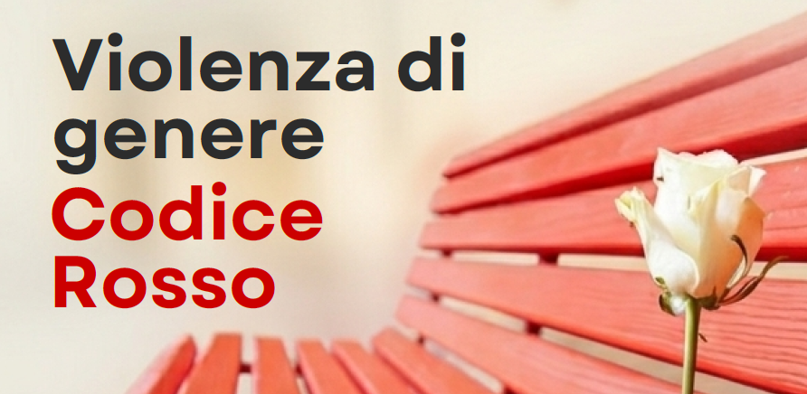 Conferenza sulla violenza di genere
